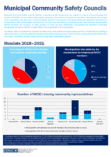 Municipal Community Safety Councils MCSCs