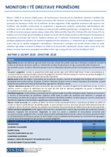 Monitori i të drejtave pronësore