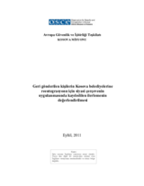 Geri gönderilen kişilerin Kosova belediyelerine reentegrasyonu için siyasi çerçevenin uygulanmasında kaydedilen lerlemenin değerlendirilmesi