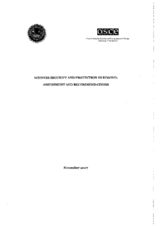 Witness security and protection in Kosovo: assessment and recommendations