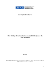 From Pilot Municipal Units to Fully Fledged Municipalities: First Year Review (tr)