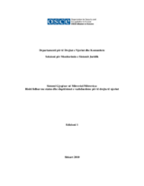 The MitrovicÃ«/Mitrovica Justice System: status update and continuing human rights concerns - Issue 1 (sq)